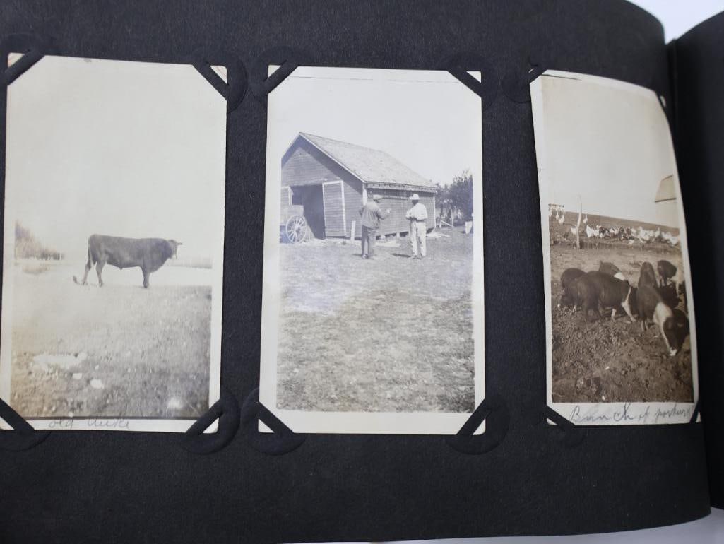 Collection of Antique Photos and Album - 12