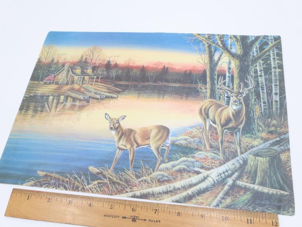 Collection of Natural Themed Items - 12