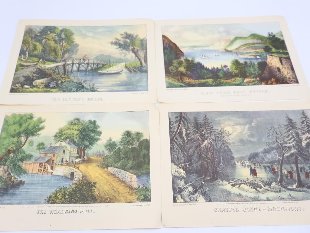 Collection of Natural Themed Items - 14