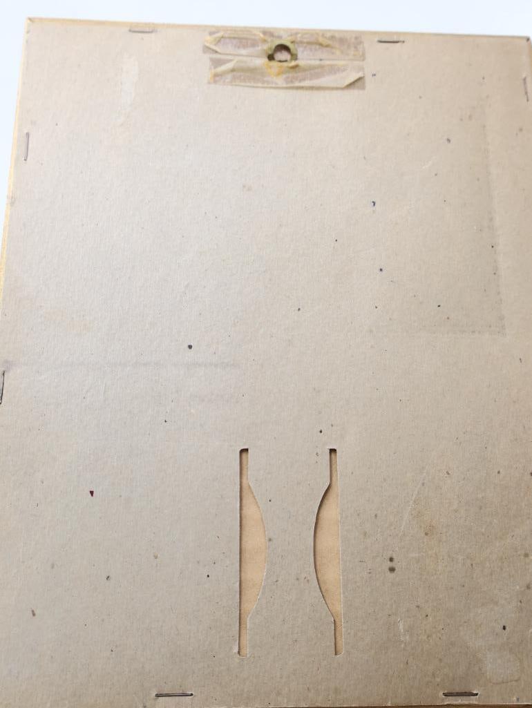 Collection of Natural Themed Items - 4