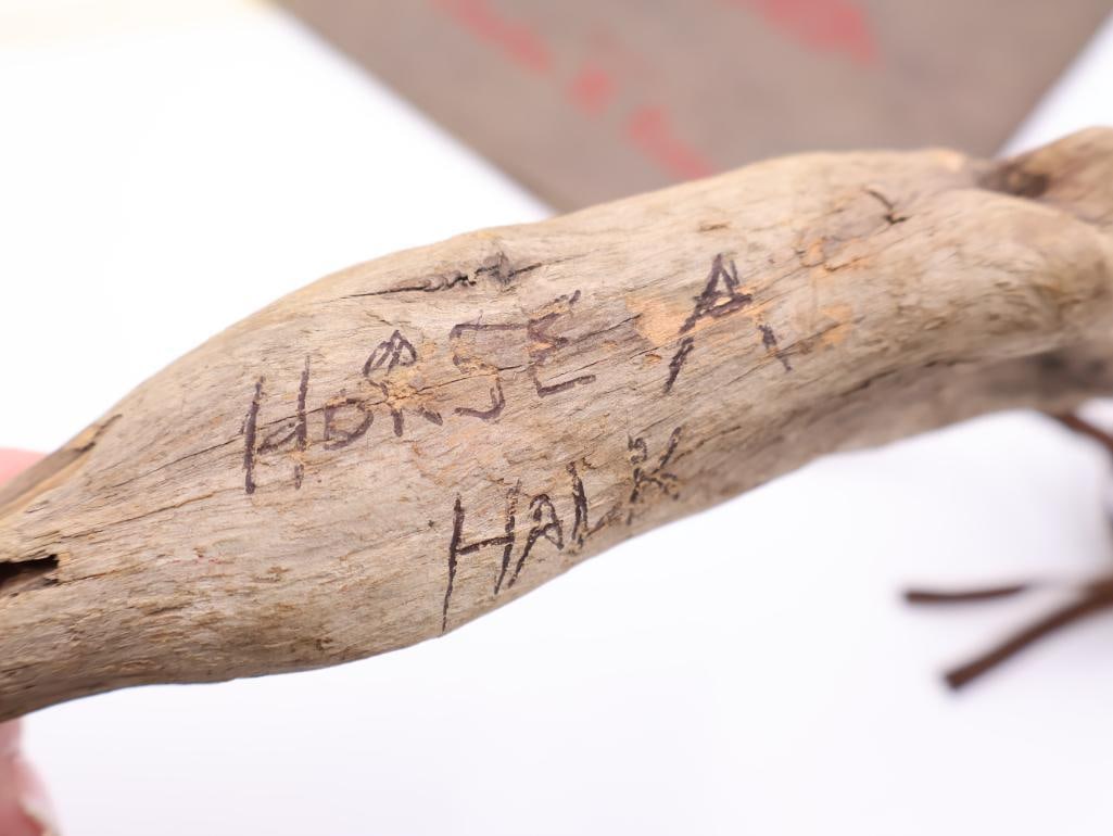 Collection of Natural Themed Items - 6