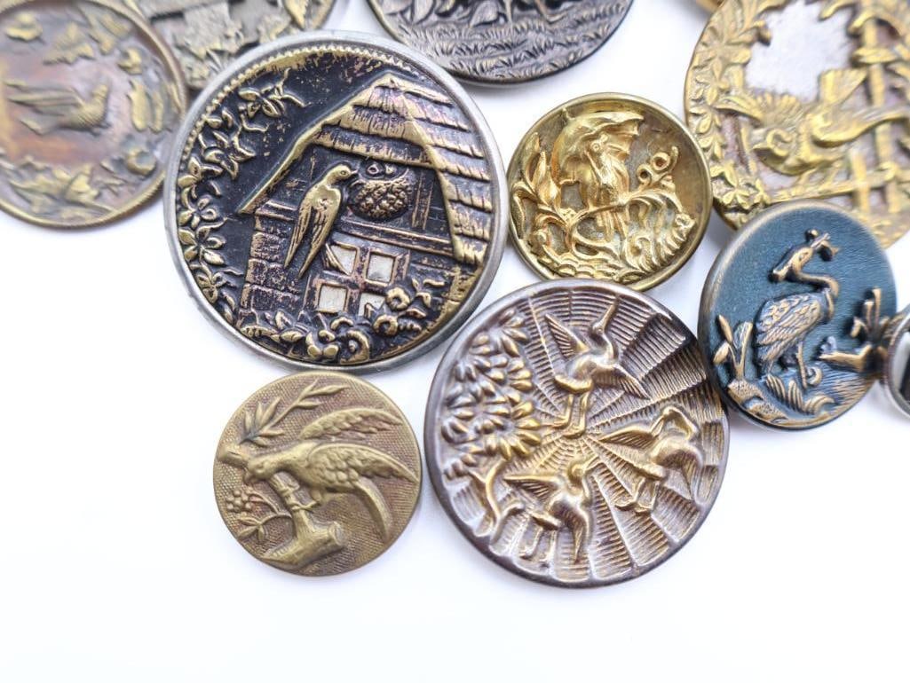 Antique Birds and Bugs Metal Picture Buttons - 3