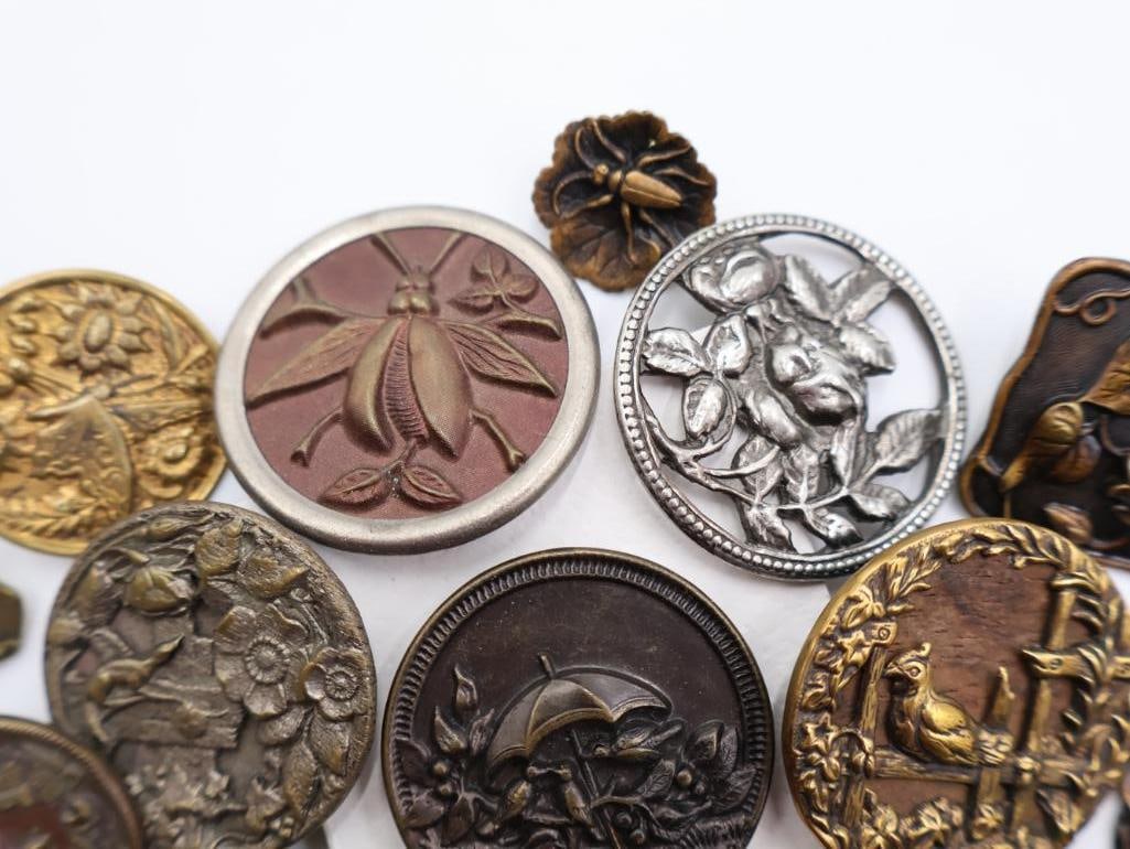 Antique Birds and Bugs Metal Picture Buttons - 6