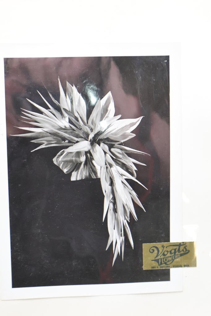 American Floral Art School Photograph Album - 14