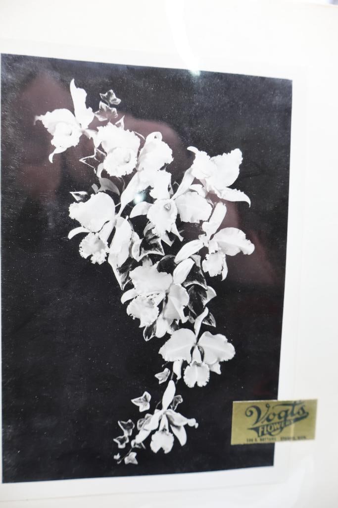 American Floral Art School Photograph Album - 9