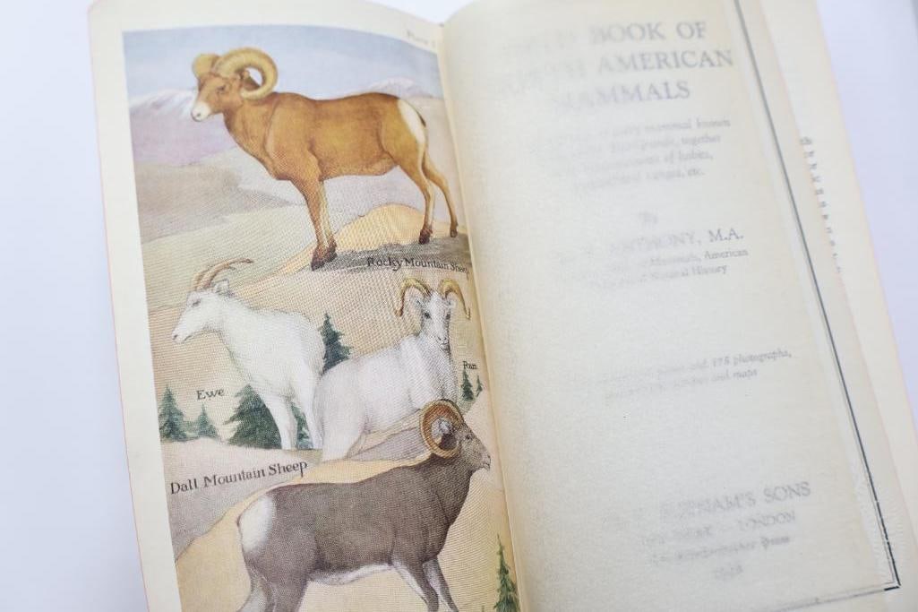 Vintage Putnam Field Book Nature Guide Collection - 10