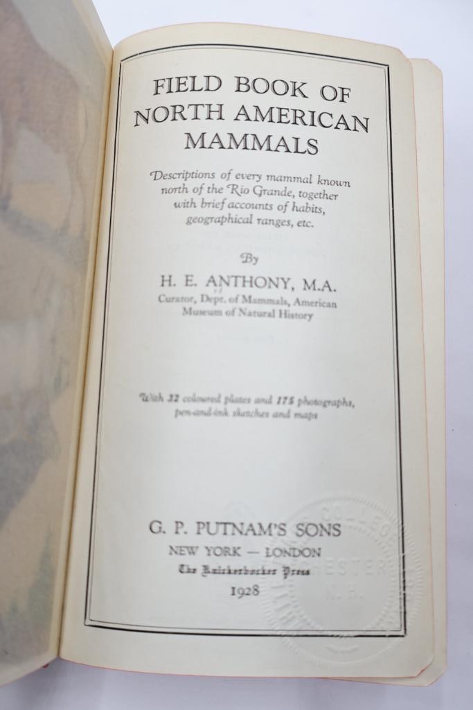 Vintage Putnam Field Book Nature Guide Collection - 11