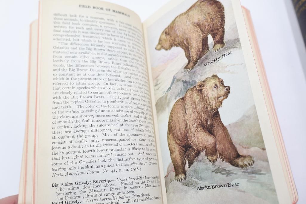 Vintage Putnam Field Book Nature Guide Collection - 13