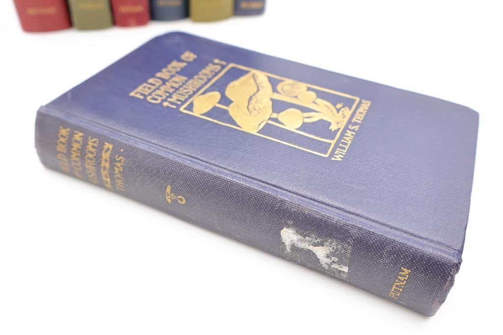 Vintage Putnam Field Book Nature Guide Collection - 15