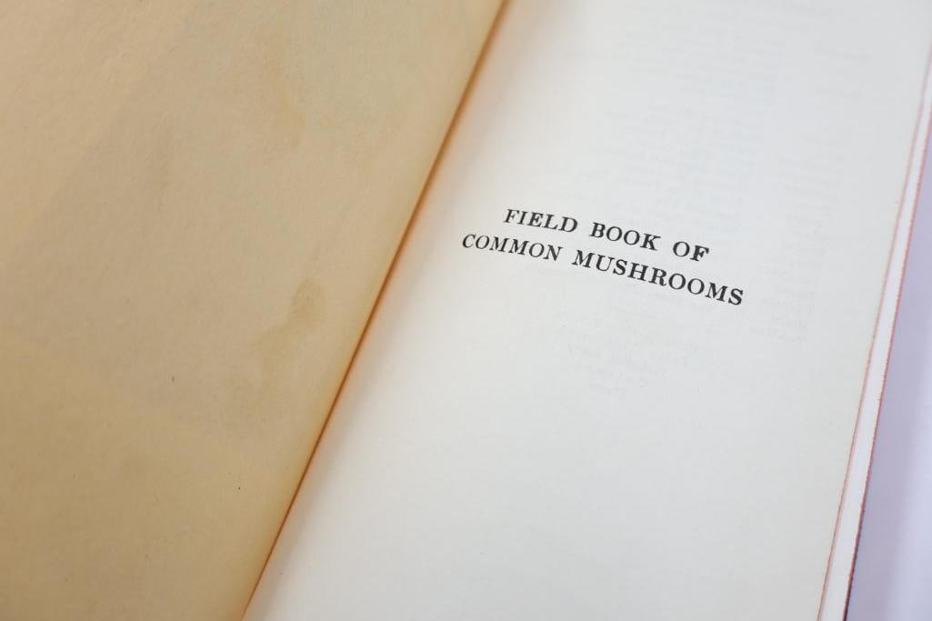 Vintage Putnam Field Book Nature Guide Collection - 17