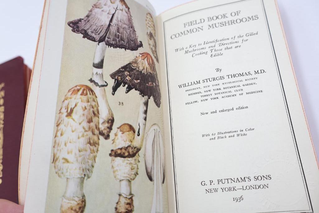 Vintage Putnam Field Book Nature Guide Collection - 18