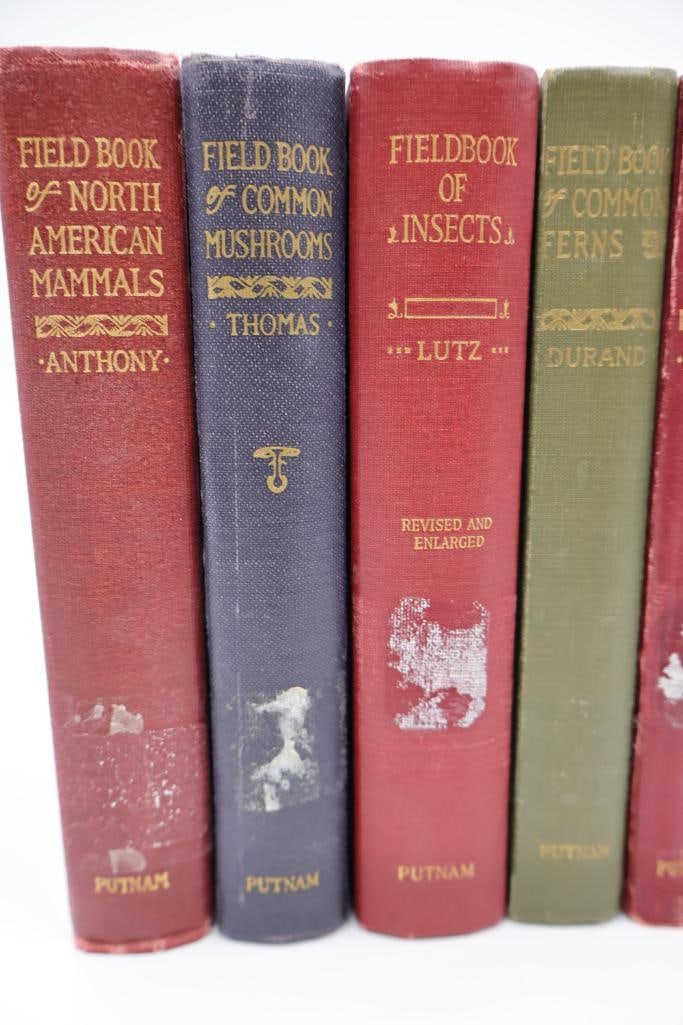 Vintage Putnam Field Book Nature Guide Collection - 4