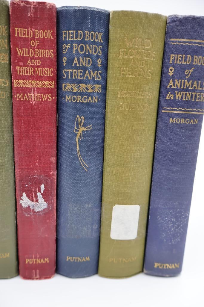 Vintage Putnam Field Book Nature Guide Collection - 5