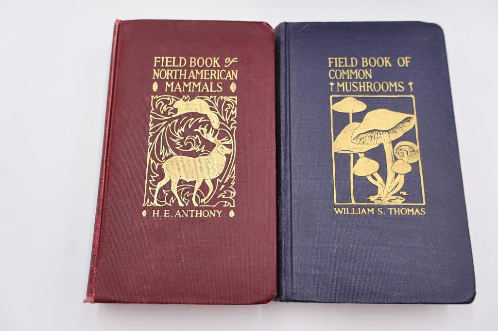 Vintage Putnam Field Book Nature Guide Collection - 7
