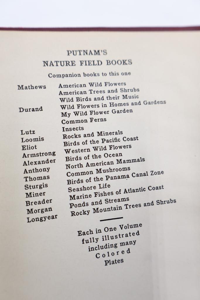 Vintage Putnam Field Book Nature Guide Collection - 9