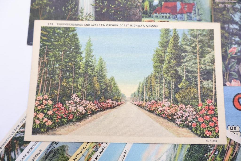 Vintage Oregon & Columbia River Highway Postcard Collection - 2