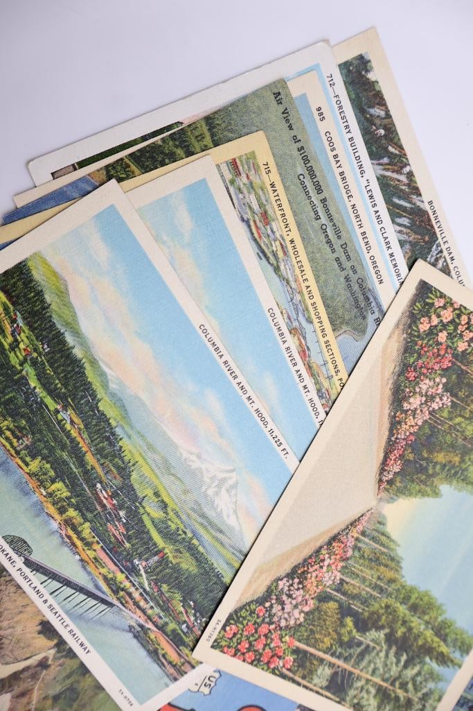 Vintage Oregon & Columbia River Highway Postcard Collection - 3