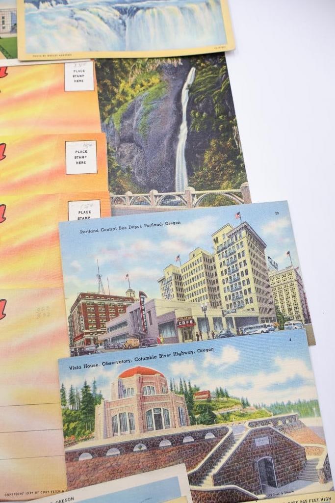 Vintage Oregon & Columbia River Highway Postcard Collection - 7