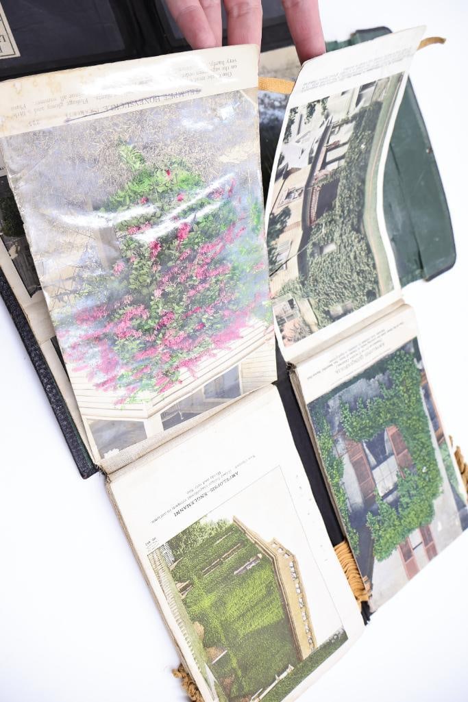 Antique Nursery & Tree Lithograph Sample Album - 10