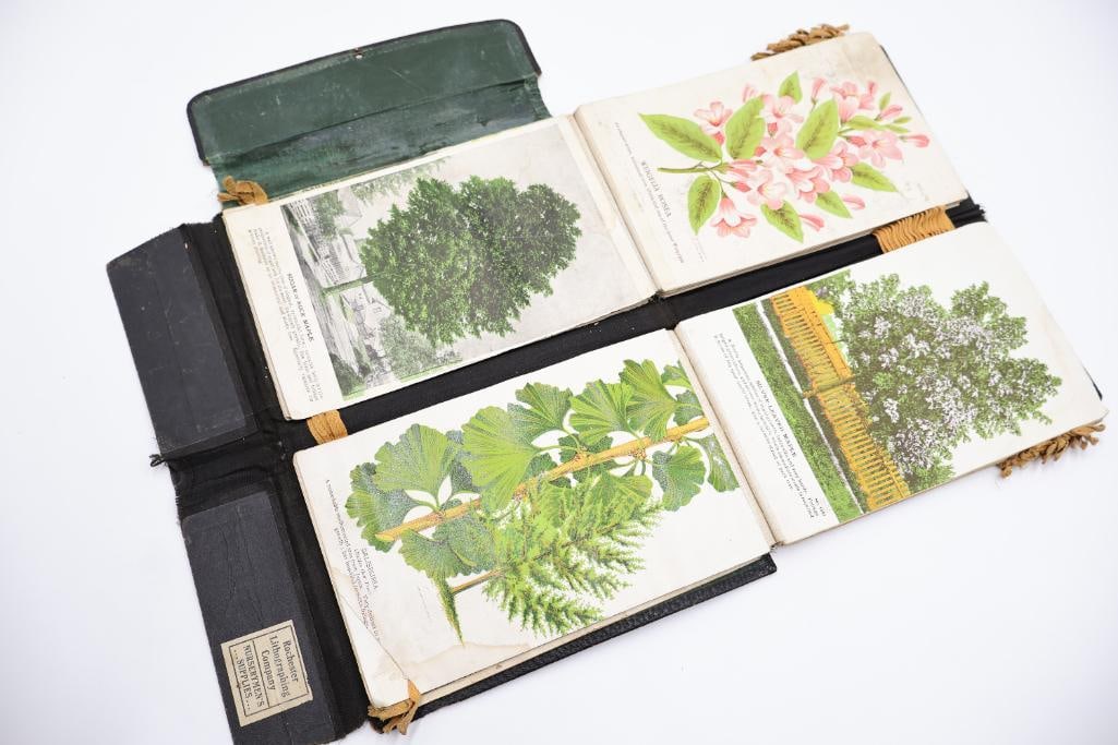 Antique Nursery & Tree Lithograph Sample Album (1 of 20)