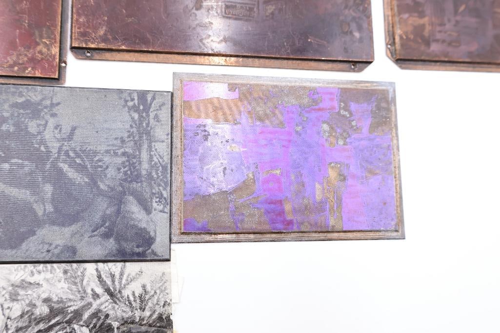 Collection of Antique Copperplate Etchings & Printing Plates - 5