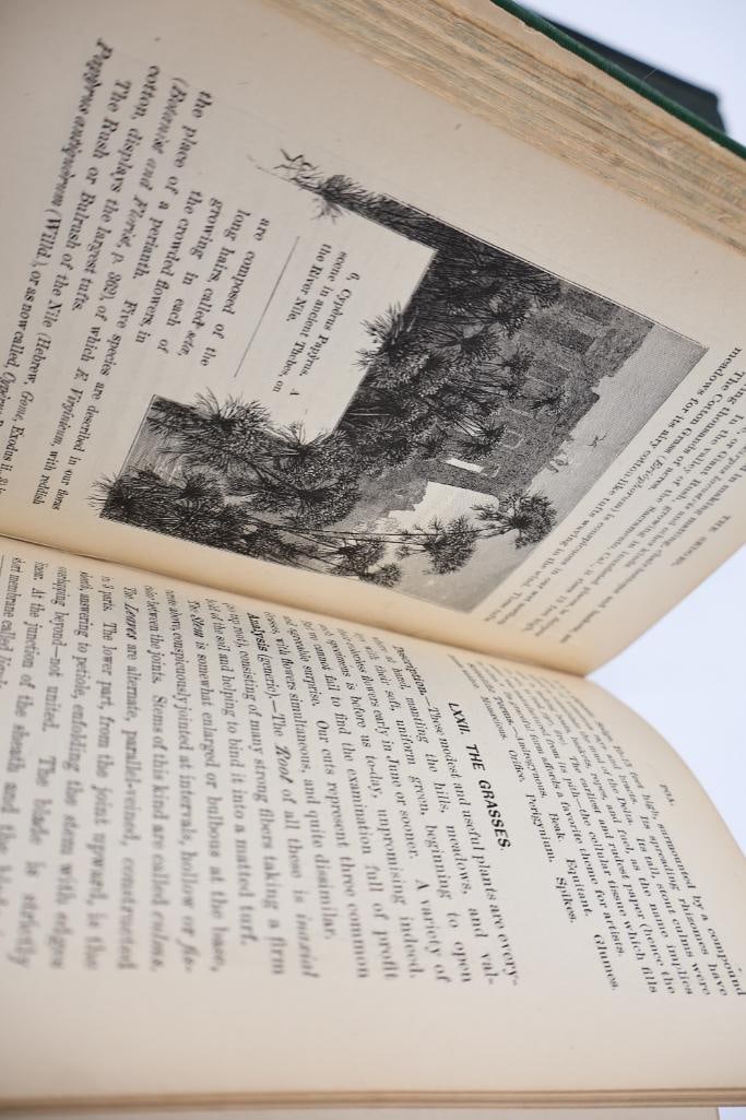 Collection of Antique Botanical & Natural Science Hardcover Books - 10