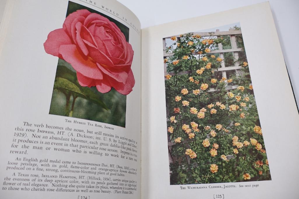 Collection of Antique Botanical & Natural Science Hardcover Books - 17