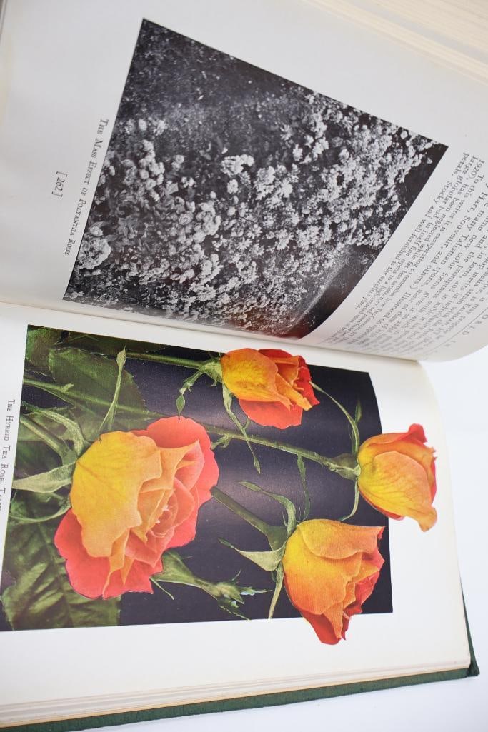 Collection of Antique Botanical & Natural Science Hardcover Books - 19