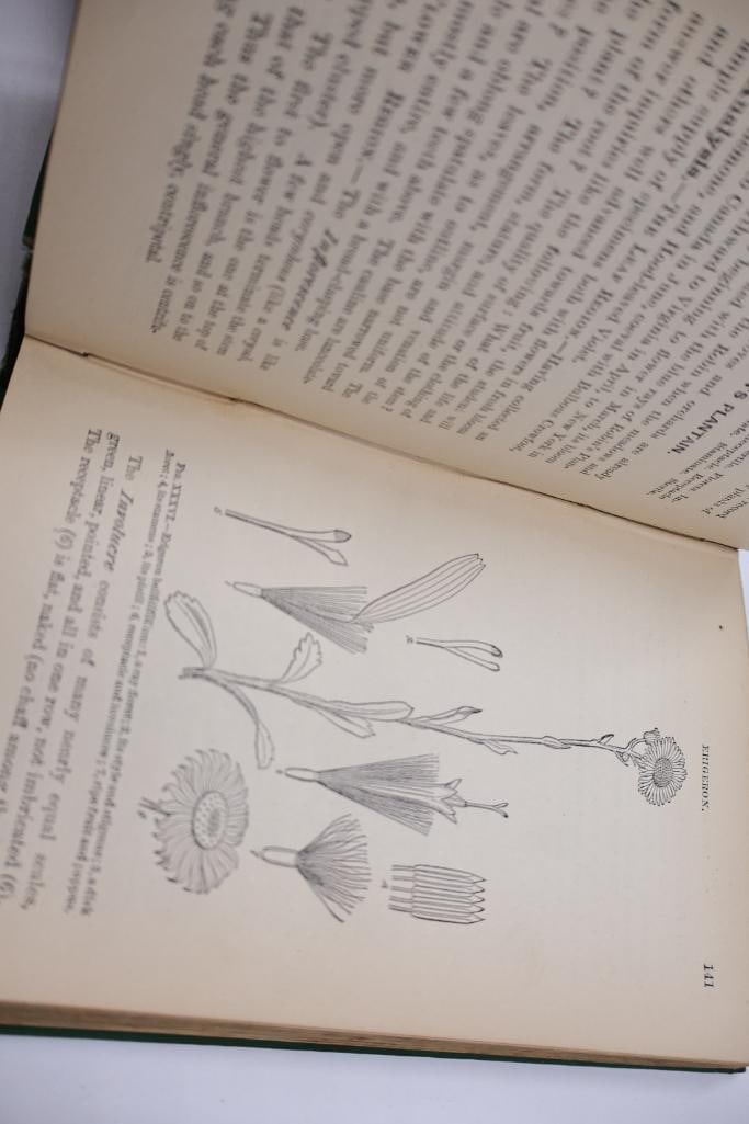 Collection of Antique Botanical & Natural Science Hardcover Books - 8