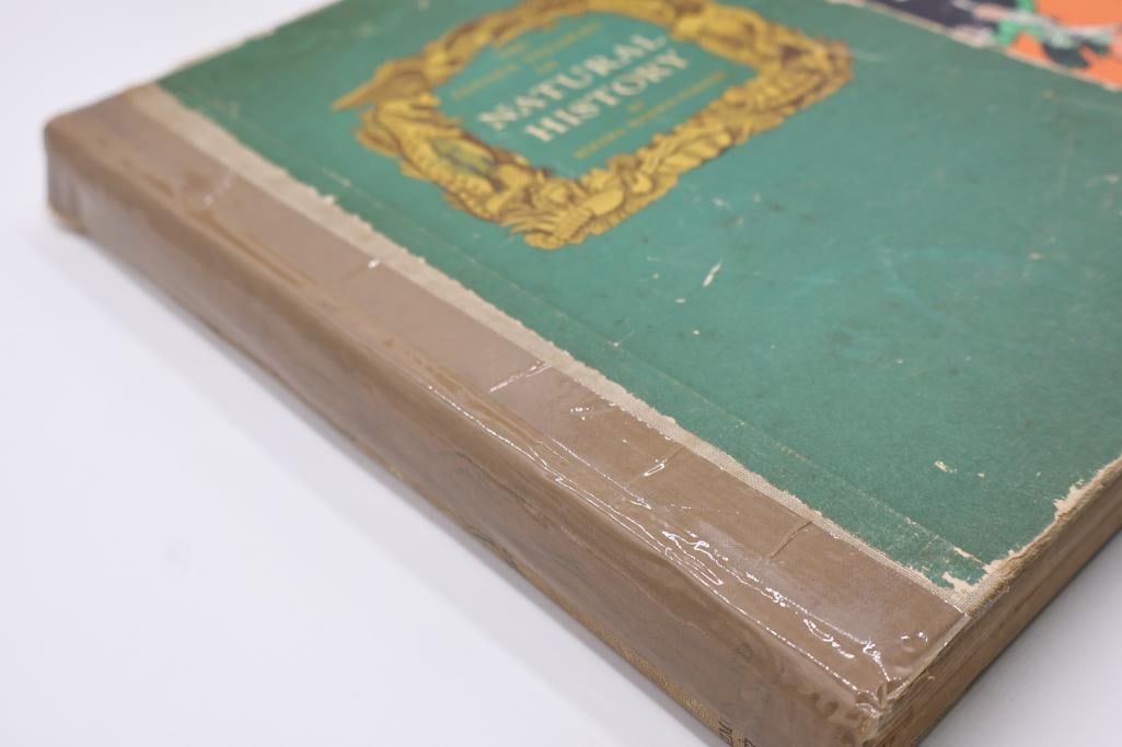 Collection of Vintage & Antique Hardcover Books with Carved Wood Bookends - 11