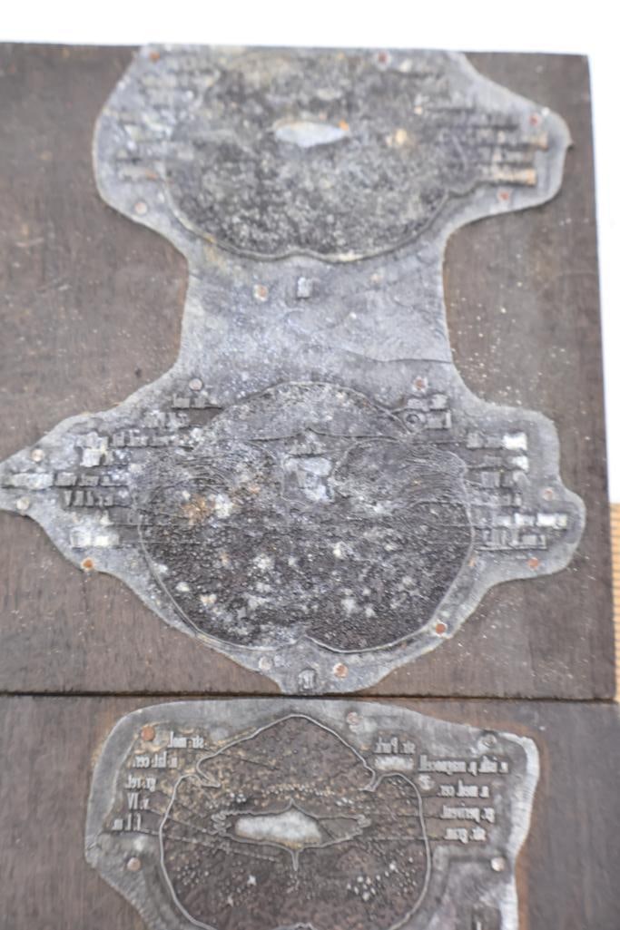 Collection of Antique Anatomical Printing Plates & Medical Illustration Blocks - 12