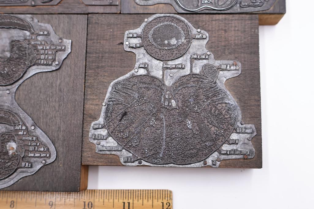 Collection of Antique Anatomical Printing Plates & Medical Illustration Blocks - 6