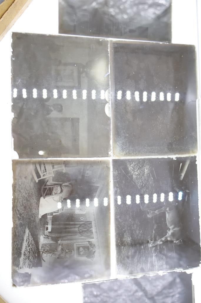 Antique Glass Plate Negatives & Early Photographic Negatives Collection - 10