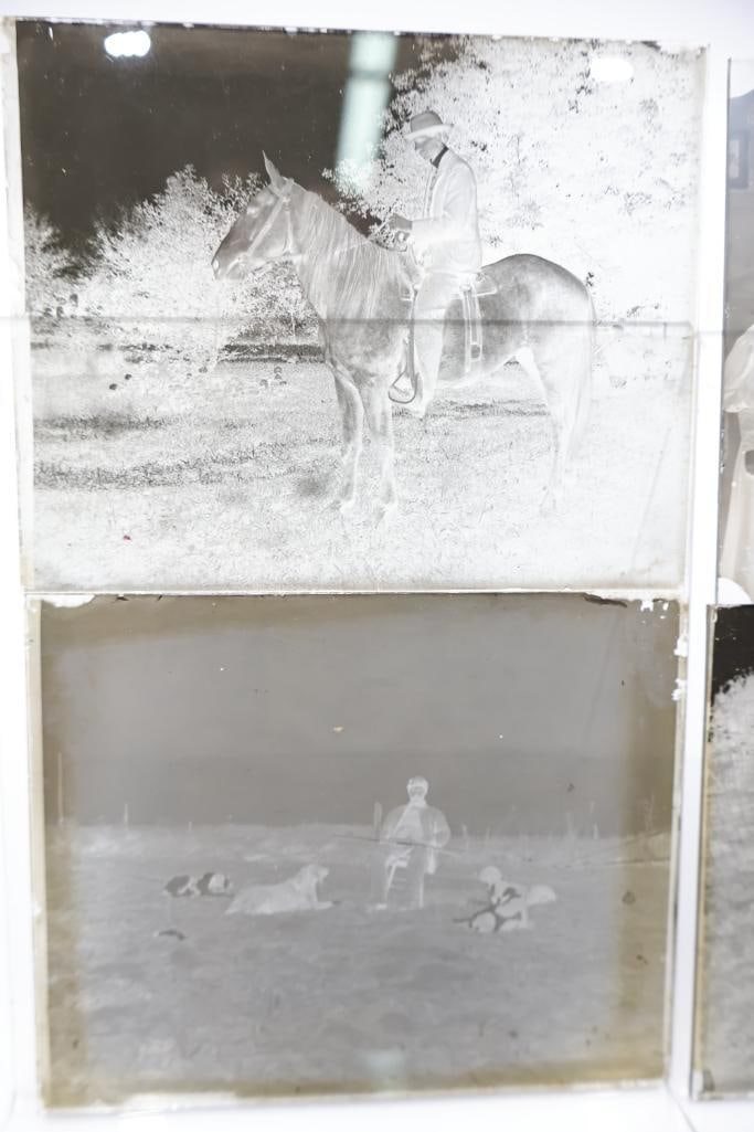 Antique Glass Plate Negatives & Early Photographic Negatives Collection - 4