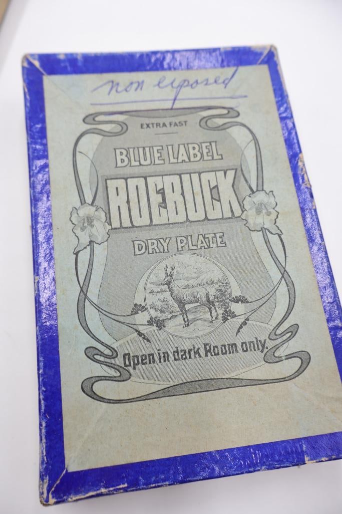 Antique Blue Label Dry Plate Glass Negatives & Cemetery Scene Collection - 13