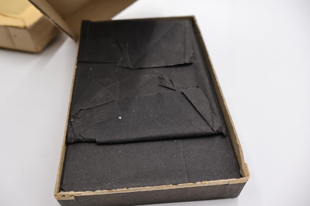 Antique Blue Label Dry Plate Glass Negatives & Cemetery Scene Collection - 14