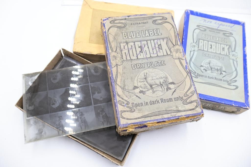 Antique Blue Label Dry Plate Glass Negatives & Cemetery Scene Collection - 9