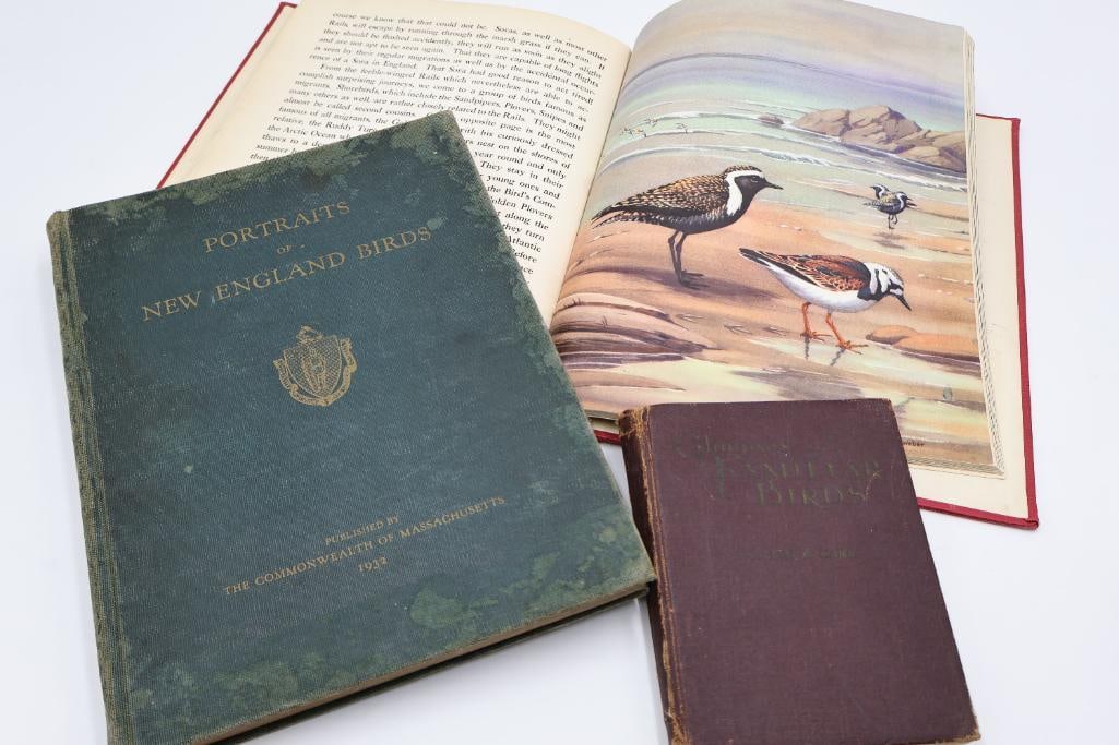 Collection of three vintage, illustrated bird-related books (1 of 20)