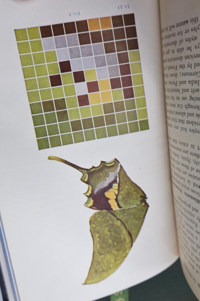 Vintage and antique books focused on design, printing, painting, and advertising - 7