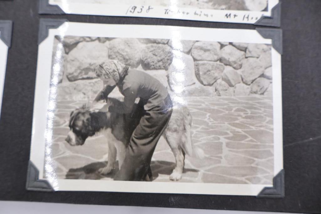Two vintage photo albums filled with photos - 7