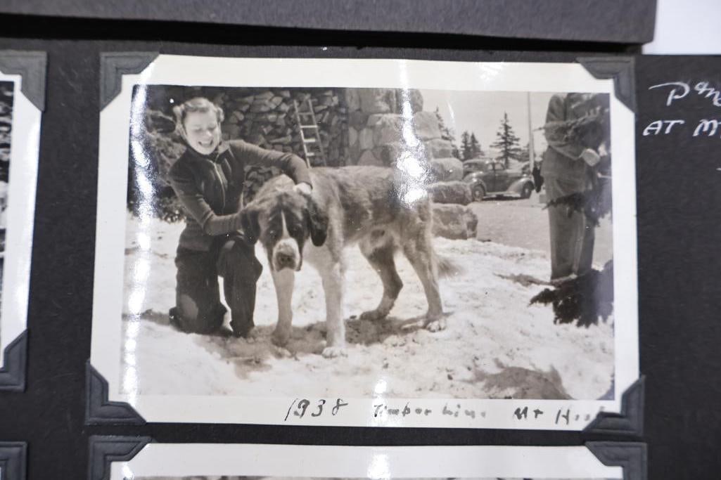Two vintage photo albums filled with photos - 8