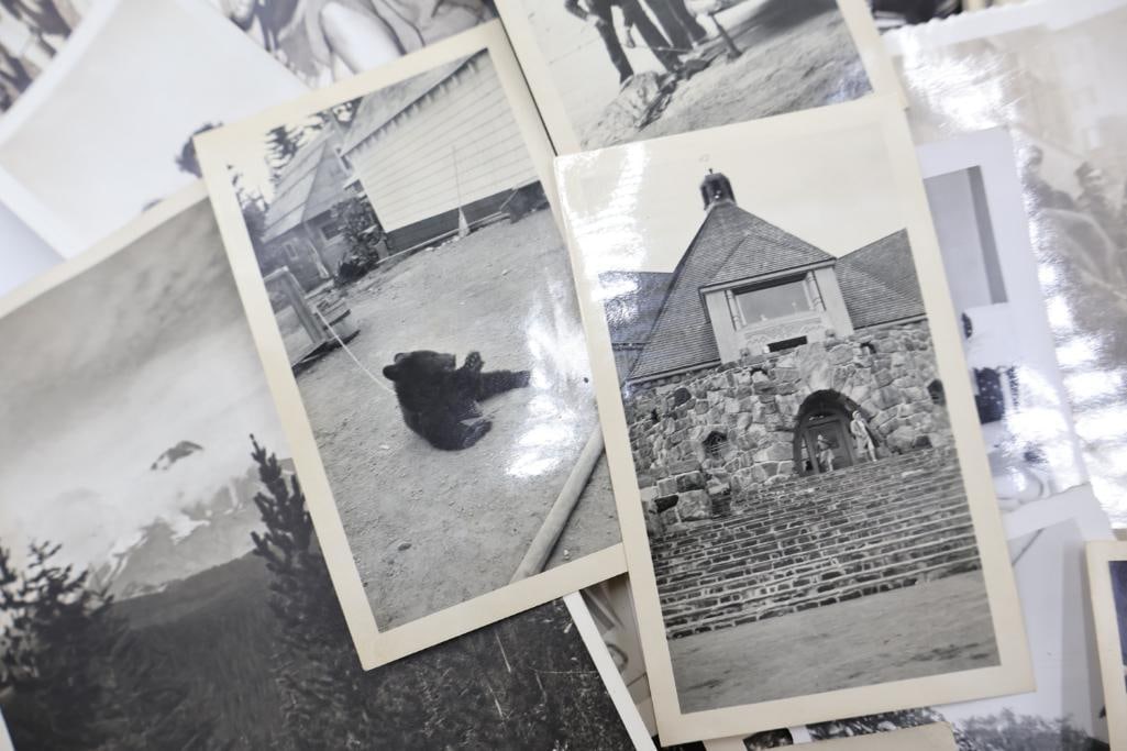 Large lot of vintage and antique photographs - 3