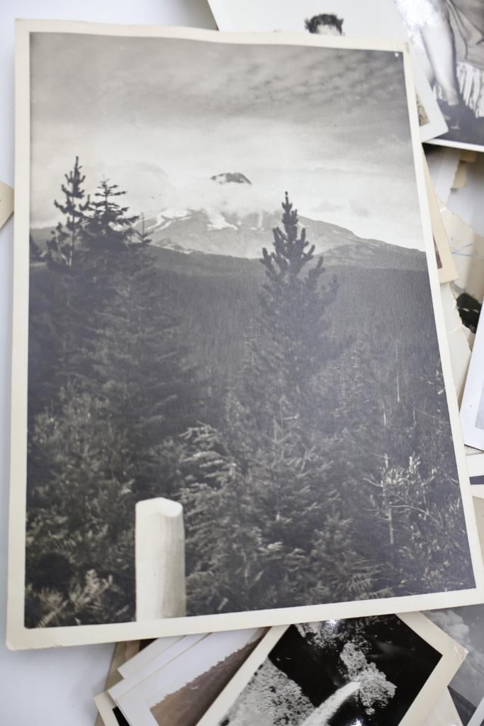 Large lot of vintage and antique photographs - 5