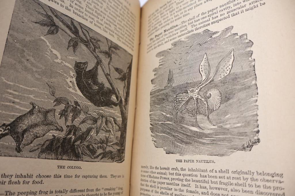 Antique Reference & Encyclopedia Hardcover Books - 11
