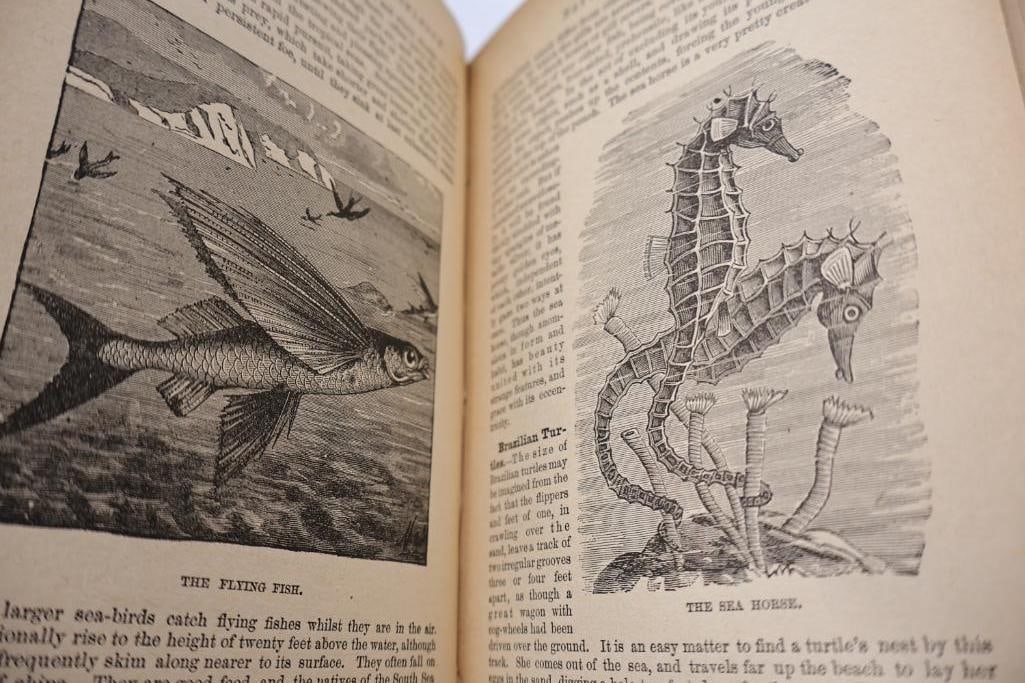 Antique Reference & Encyclopedia Hardcover Books - 12