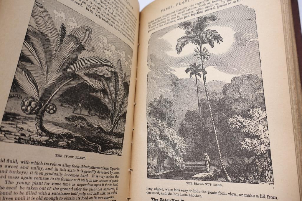 Antique Reference & Encyclopedia Hardcover Books - 17