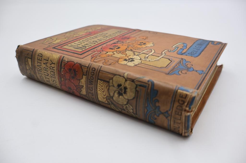 Antique Illustrated Natural History Hardcover Book by J.G. Wood (1 of 19)