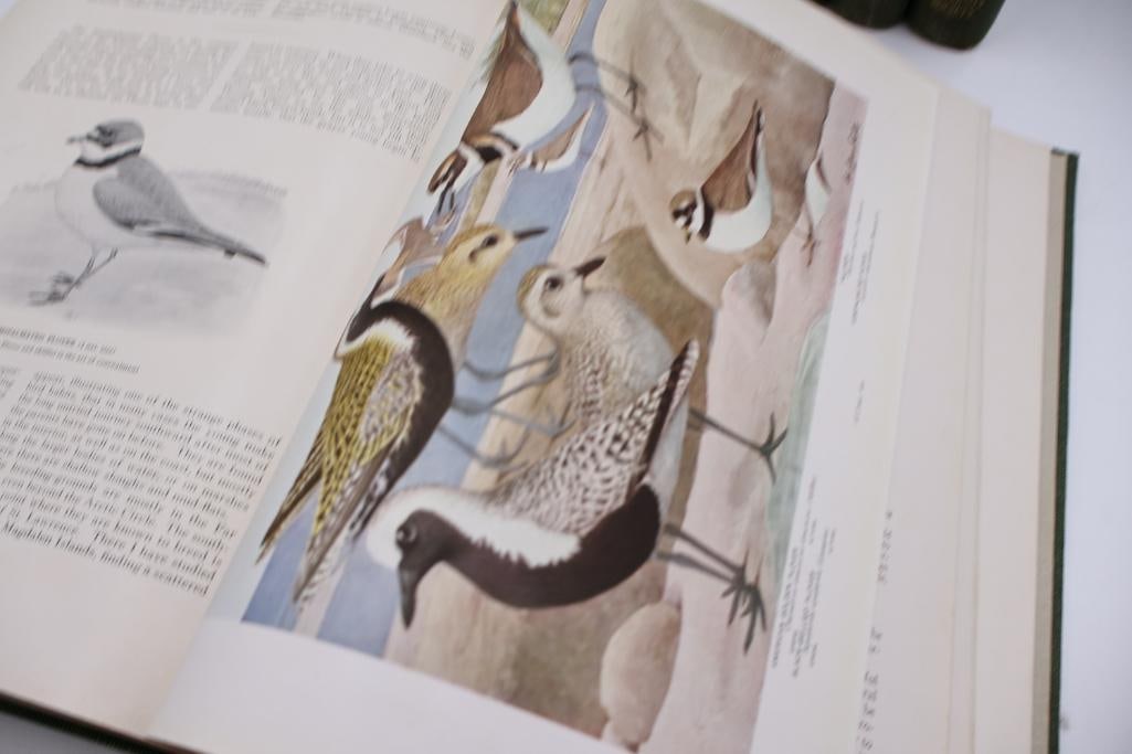Vintage Nature Lovers Library Hardcover Book Collection Birds & Mammals Series - 16