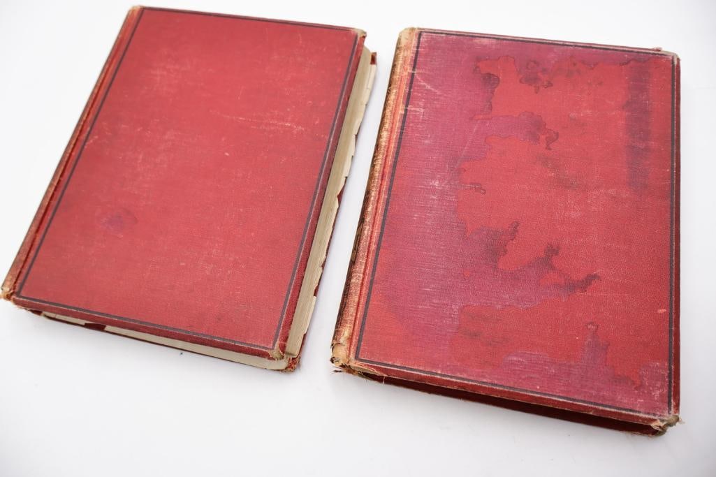 Pair of Antique 18881889 St. Nicholas: An Illustrated Magazine - 6