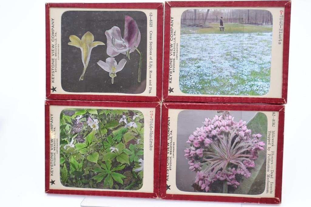Vintage Keystone View Company Stereoview Slide Collection in Original Storage Box - 8